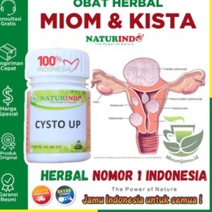 Jual Asli Bau Dan Gatal Jamu Datang Kista Ovarium Miom Myom Bartholin