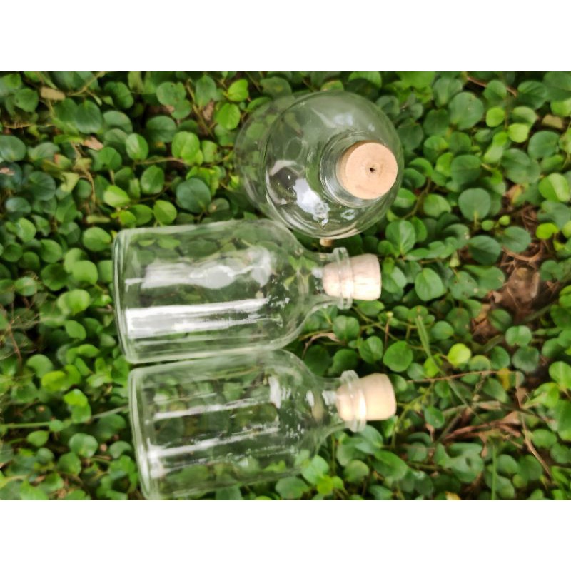 Jual Botol Kaca 50ml Tutup Kayu Gabus Charm Cork Tutup Kecil