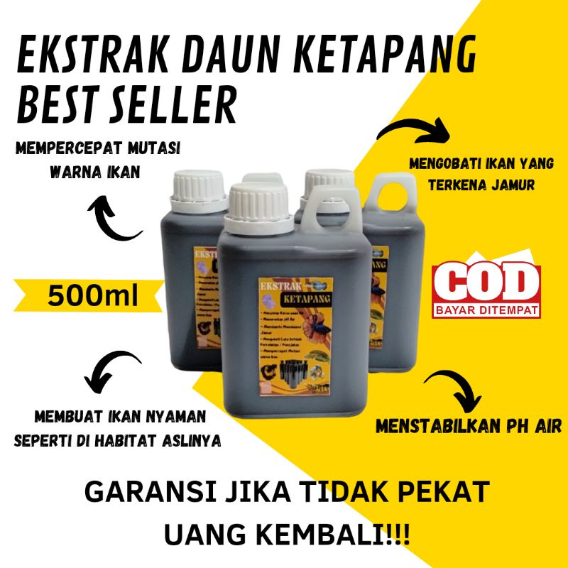 Jual Grosir Ekstrak Daun Ketapang Pekat Ml Jurigen Untuk Channa