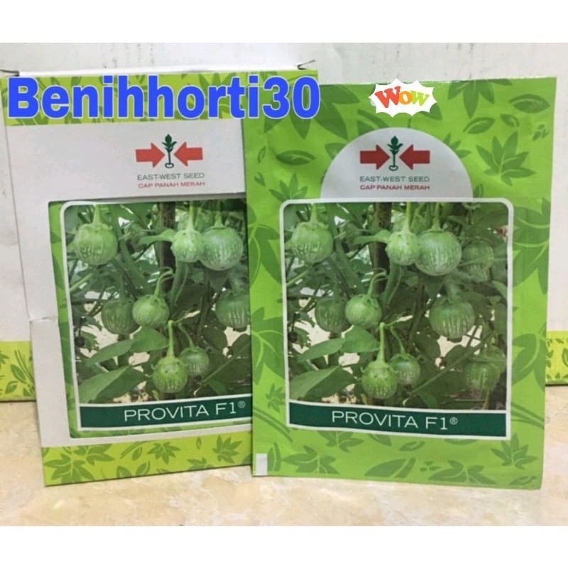 Jual Benih Terong Lalap Bulat Provita F1 Isi 1100 Butir Shopee Indonesia