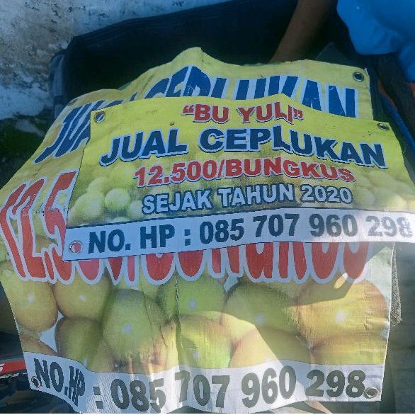 Jual Buah Ciplukan Caplukan Cecendet Herbal Shopee Indonesia