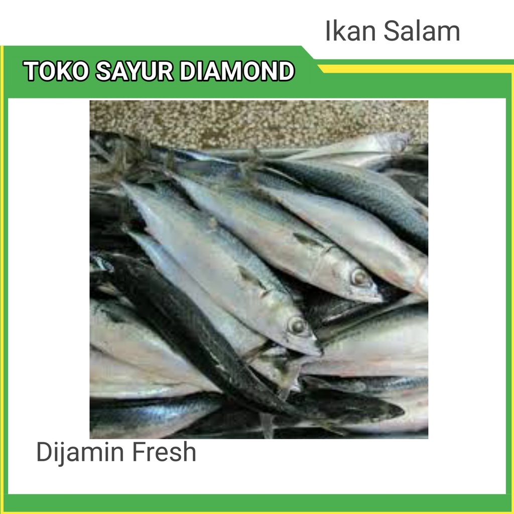 Jual Ikan Salam Fresh Toko Sayur Diamond Palembang Shopee Indonesia