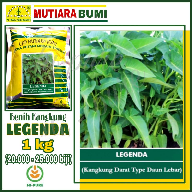 Jual Benih Kangkung Darat Legenda Tipe Daun Lebar Isi Gram Cap