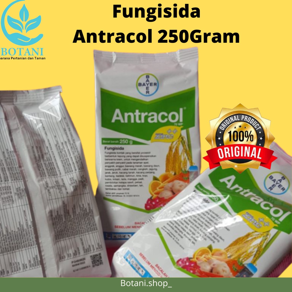 Jual Fungisida Antracol Wp Gram Shopee Indonesia