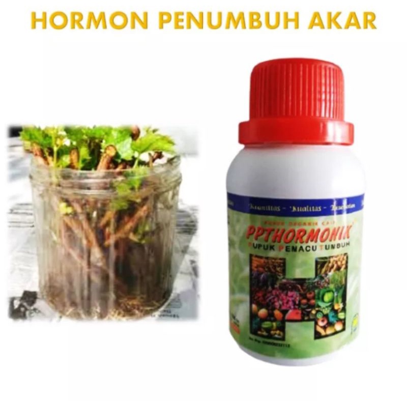 Jual PERANGSANG AKAR TANAMAN Perangsang Akar Tanaman Stek