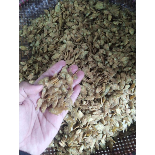 Jual Ikan Crispy Grm Shopee Indonesia