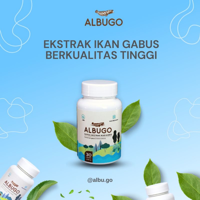 Jual Albumin Albugo Ekstrak Ikan Gabus Isi 30 Kapsul Shopee Indonesia