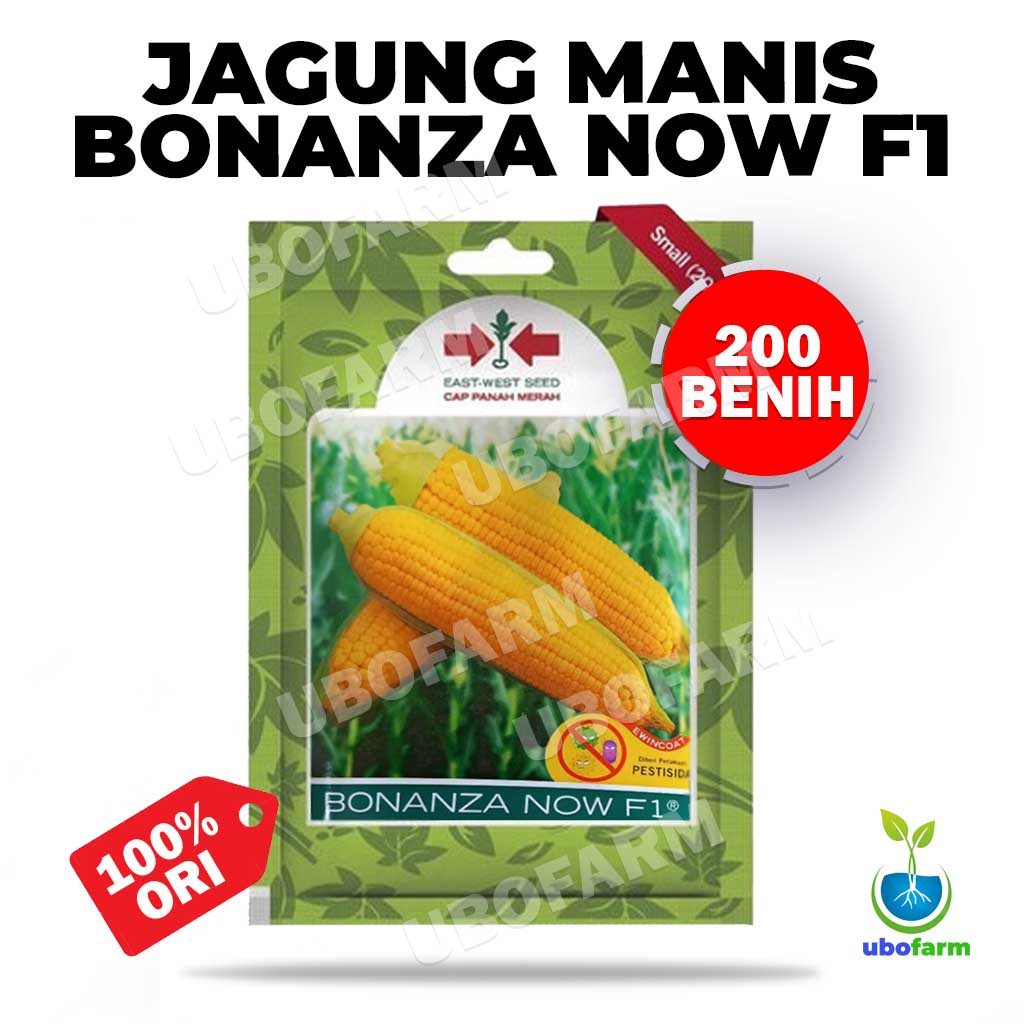 Jual Benih Jagung Manis Bonanza Now F1 SP Cap Panah Merah Isi 200 Benih