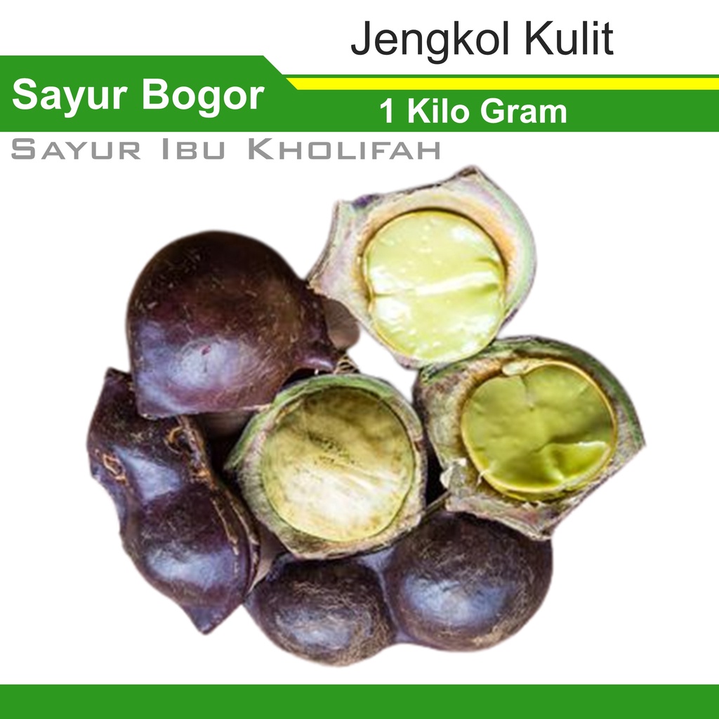 Jual Jengkol Kulit 1 Kilo Gram Makanan Sayur Sayuran Segar Bogor