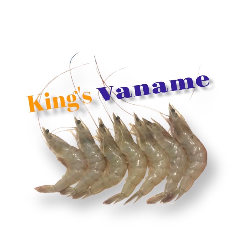 Jual Udang Vaname Udang Vaname Segar Fresh Shirm Size Shopee