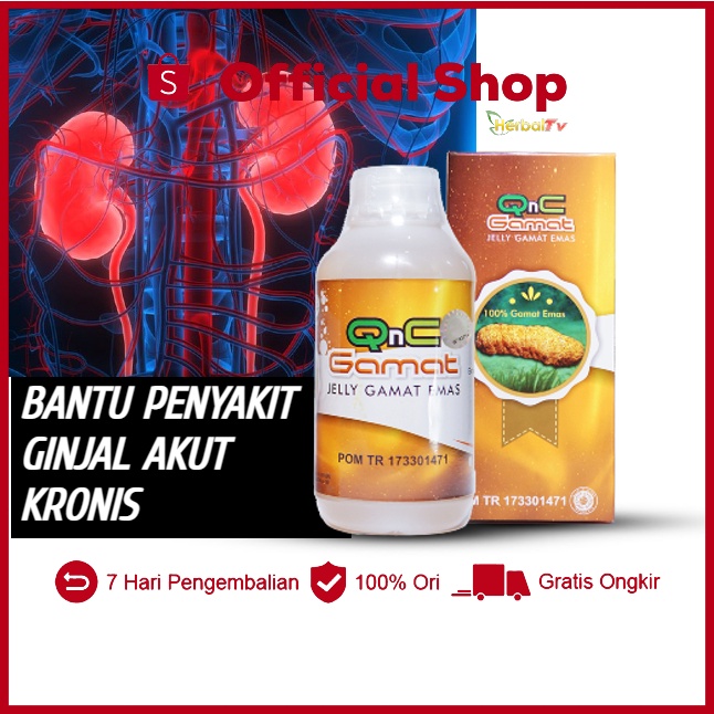 Jual Obat Penyakit Ginjal Batu Ginjal Radang Ginjal Gagal Ginjal Akut