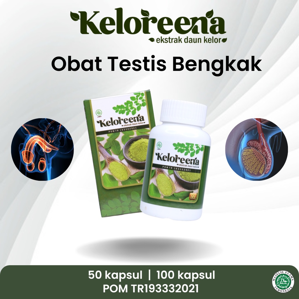 Jual Sapnu Herbal Obat Testis Bengkak Varikokel Hernia Turun Berok