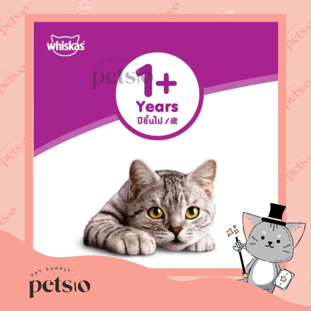 Jual Whiskas Adult Junior Pouch 80 Gr Wet Cat Food All Varian Makanan