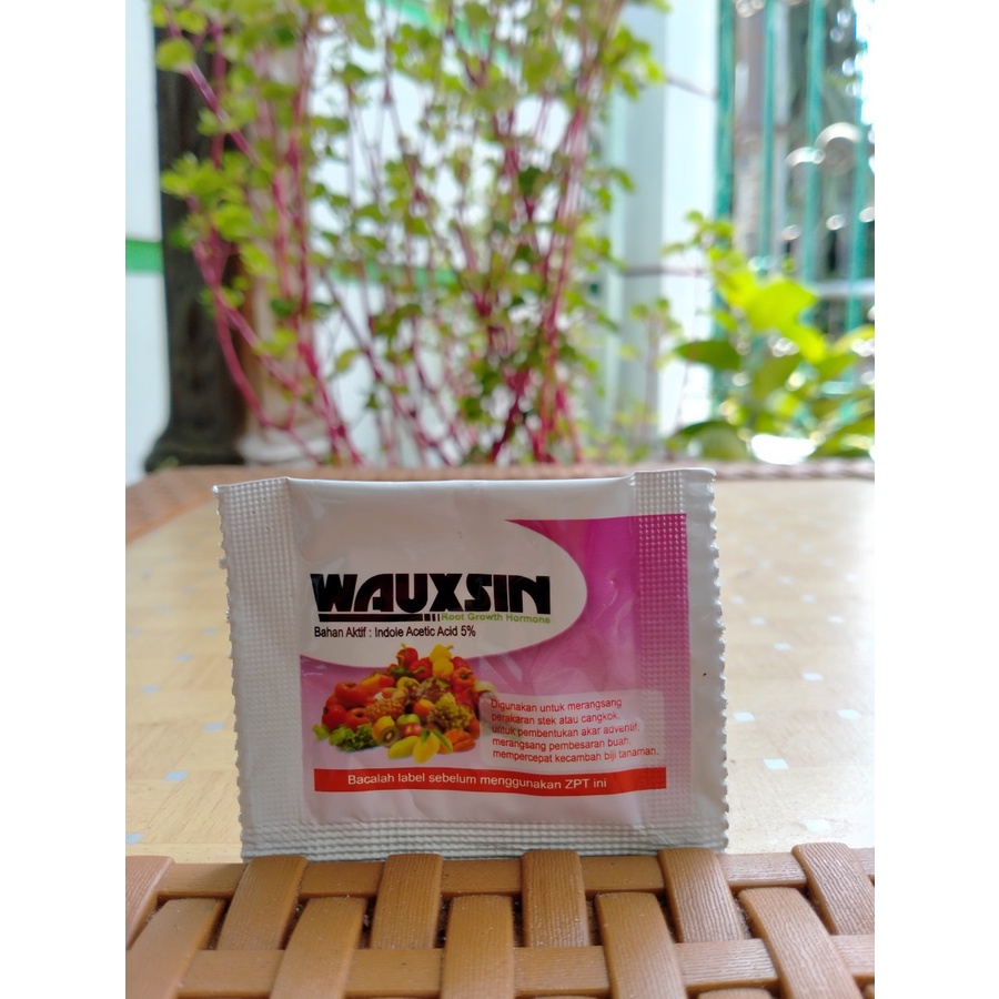 Jual Wauxin ZPT Pupuk Hormon Akar Dan Tanaman Isi 2 Gram Original