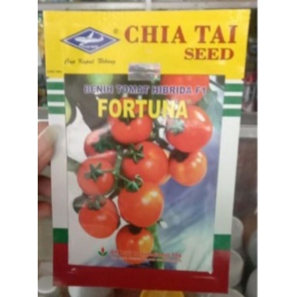 Jual Benih Tomat Fortuna F Gr Shopee Indonesia