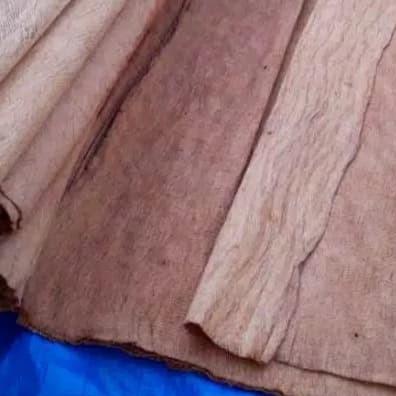 Jual Kulit Kayu Kulit Kayu Lantung Cm L Lebar Cm Shopee