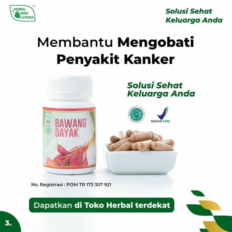 Jual Kapsul Ekstrak Bawang Dayak Herbal Indo Utama HIU Obat Herbal