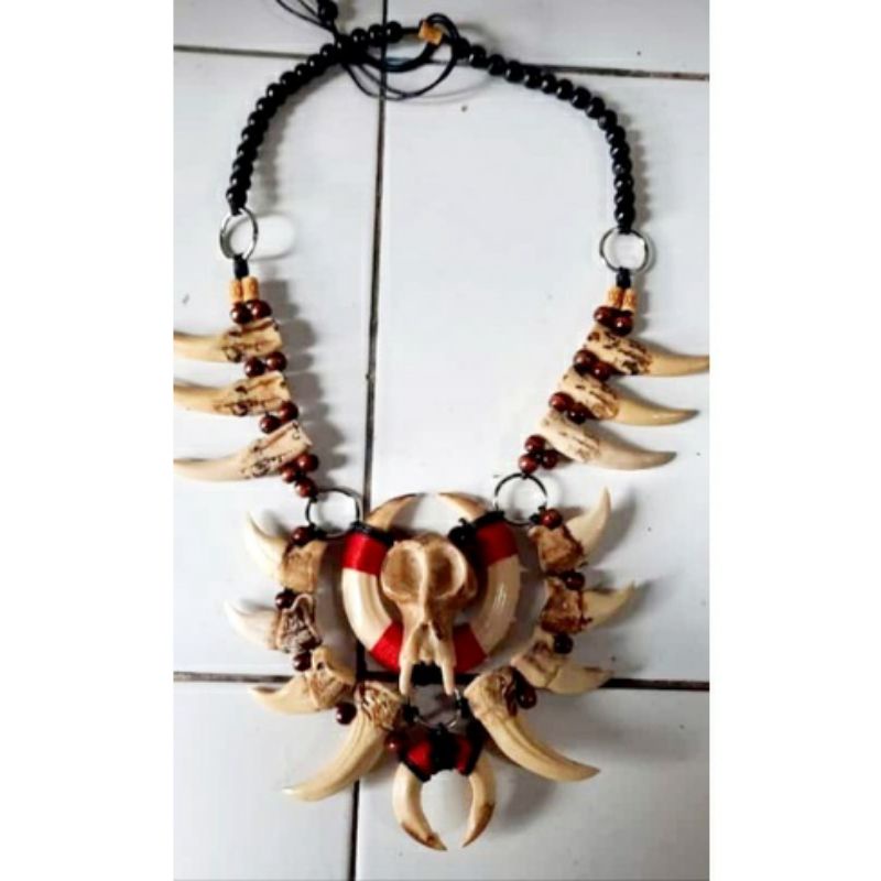 Jual Kalung Taring Babi Etnik Dayak Pria Wanita Adat Kalimantan Mirip