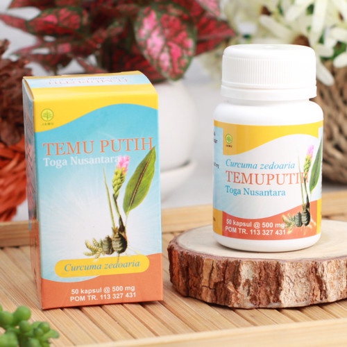 Jual Kapsul Temu Putih Toga Nusantara Herbal Obat Kanker Shopee Indonesia