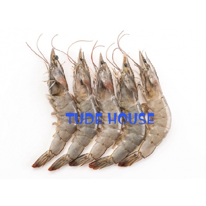 Jual Udang Vannamei Udang Beku Fresh 2kg Shopee Indonesia