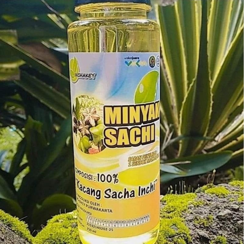 Jual Sacha Inchi Oil 100 Ml Minyak Sacha Inchi 100 Ml Shopee Indonesia