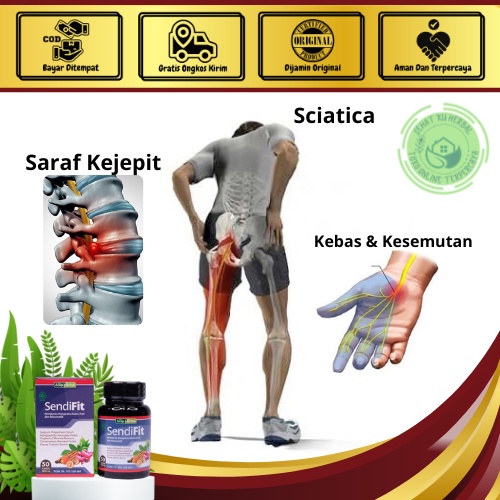 Jual Obat Nyeri Otot Paha Sakit Betis Otot Ketarik Cedera Hamstring