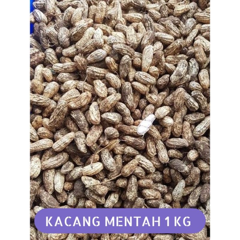 Jual Kacang Tanah Mentah Kg Kacang Tanah Segar Shopee Indonesia