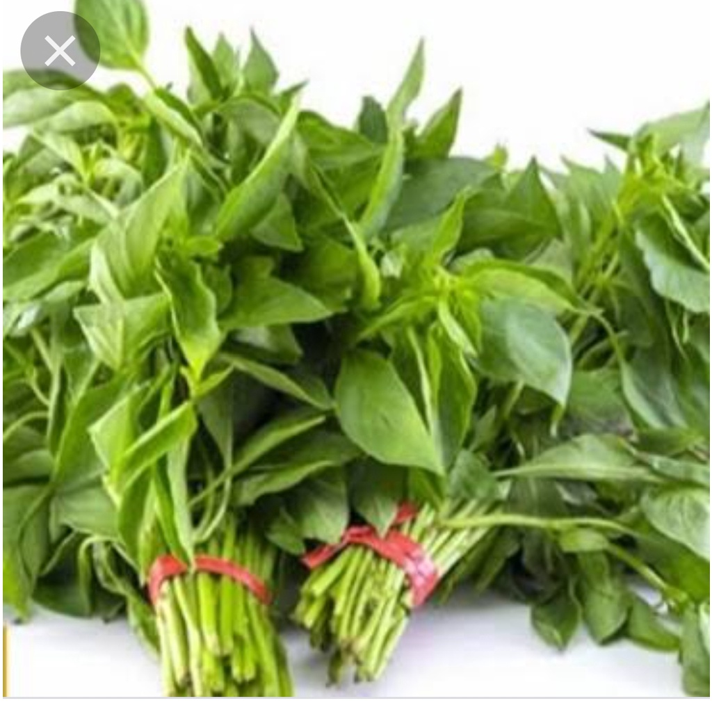 Jual Kemangi Sayur Sayuran Segar Shopee Indonesia