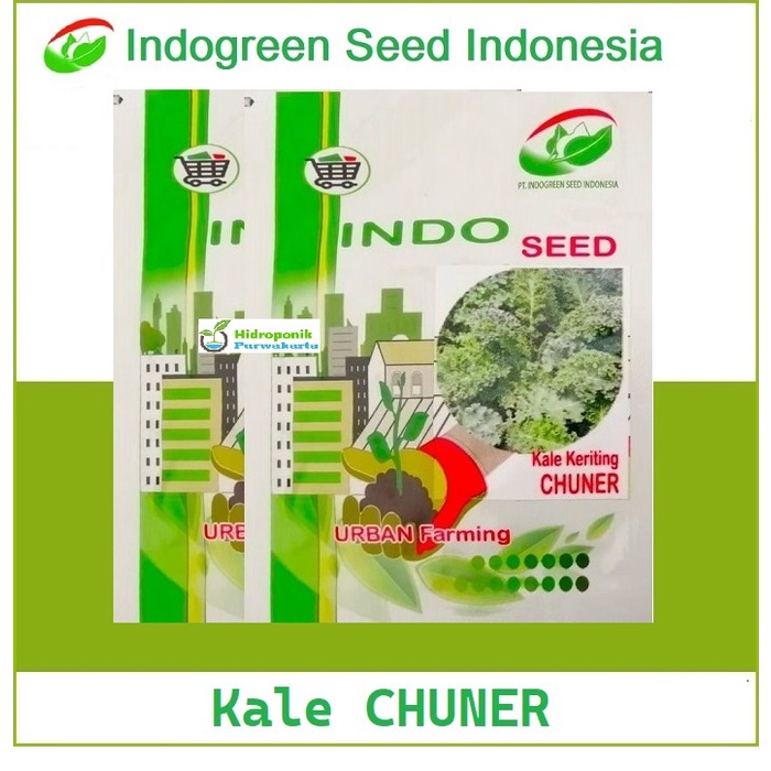 Jual Benih Kale Curley Kale Keriting Chuner Isi Butir Original