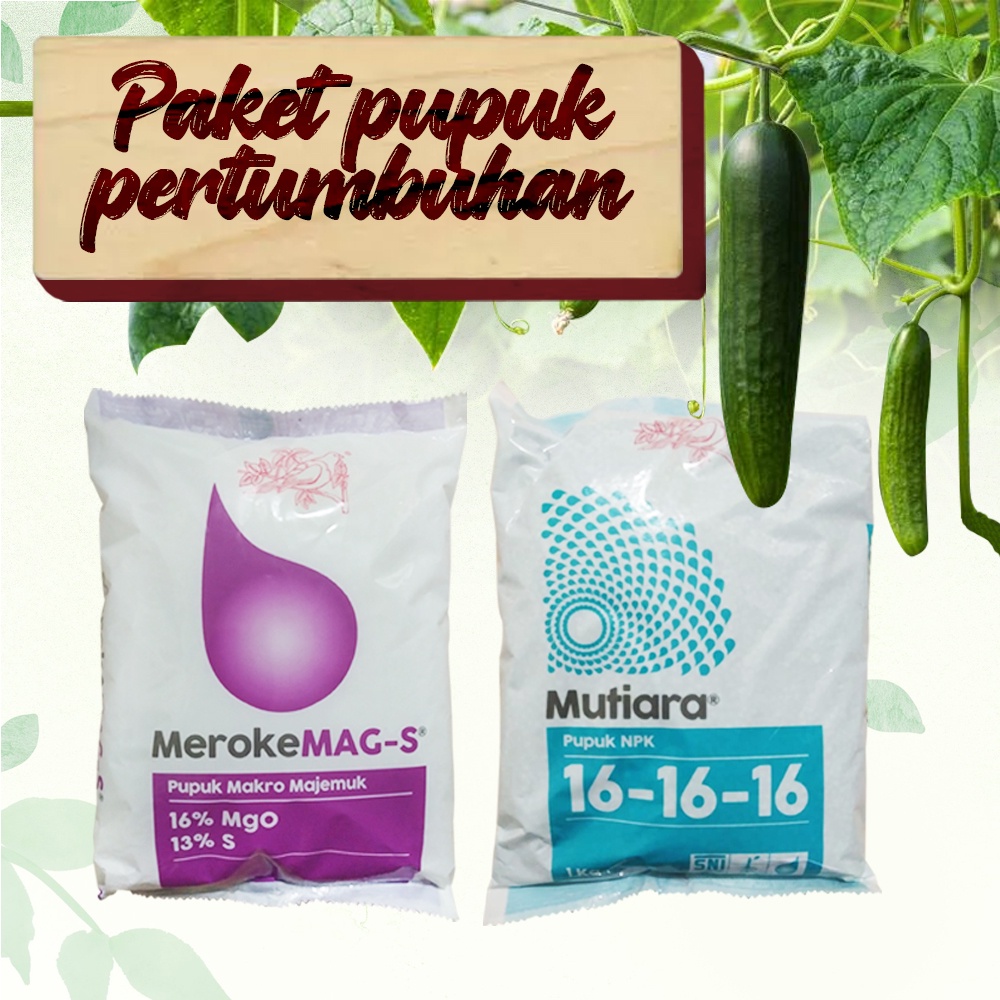 Jual Paket Pupuk Lengkap 600 Gram Fase Vegetatif Pertumbuhan Tanaman