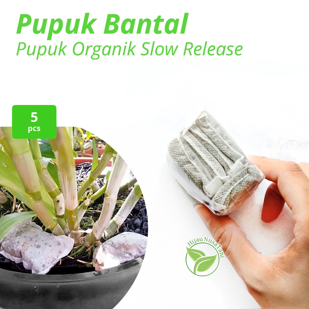 Jual Pupuk Bantal Slow Release Organik Untuk Tanaman Hias Daun