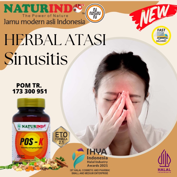 Jual Obat Sinusitis Peradangan Hidung Pembengkakan Rongga Hidung Polip