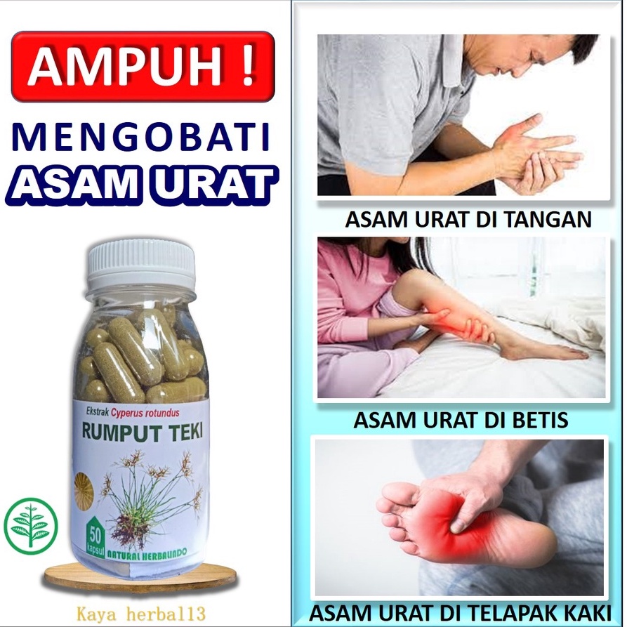 Jual Obat Pegal Nyeri Sendi Rematik Rumput Teki Kapsul Herbal Alami