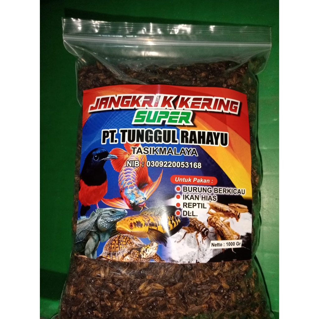 Jual Jangkrik Premium Kering Kg Asput Tasikmalaya Shopee Indonesia