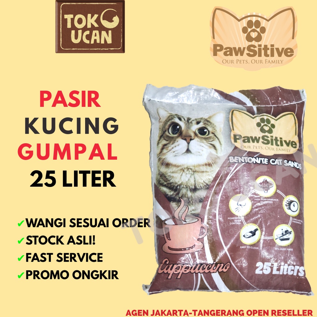 Jual EKSPEDISI Pawsitive 25 Liter Bentonite Cat Litter 25lt Pasir