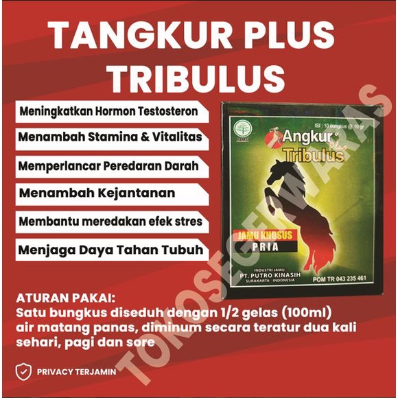 Jual Jamu Pria Angkur Tangkur Plus Tribulus Penambah Stamina Dan