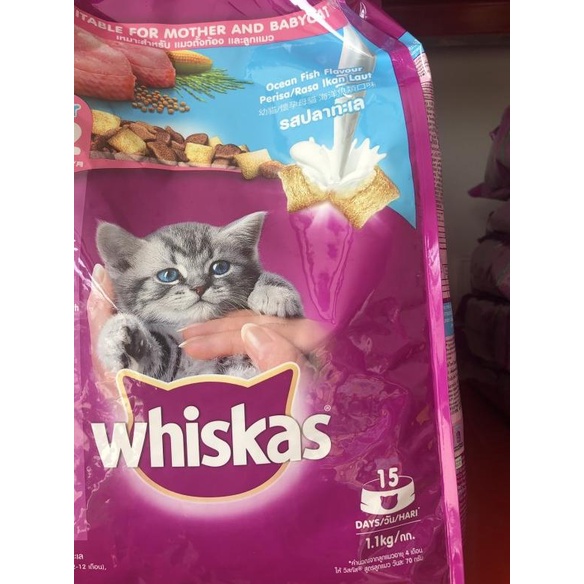 Jual WHISKAS JUNIOR OCEAN FISH 1 1 KG WHISKAS JUNIOR OCEANFISH 1 1 KG