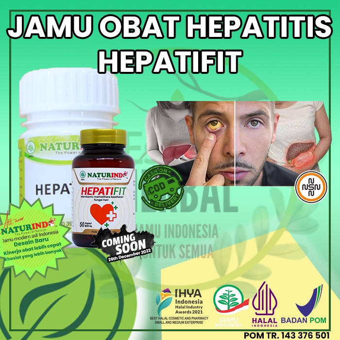 Jual Obat Herbal Hepatitis Liver Sakit Kuning Hepatifit Naturindo