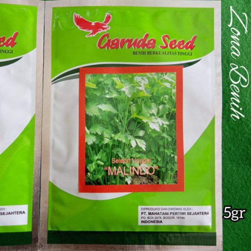 Jual Benih Seledri Malindo Isi 5 Gram Merek Garuda Seed Shopee Indonesia