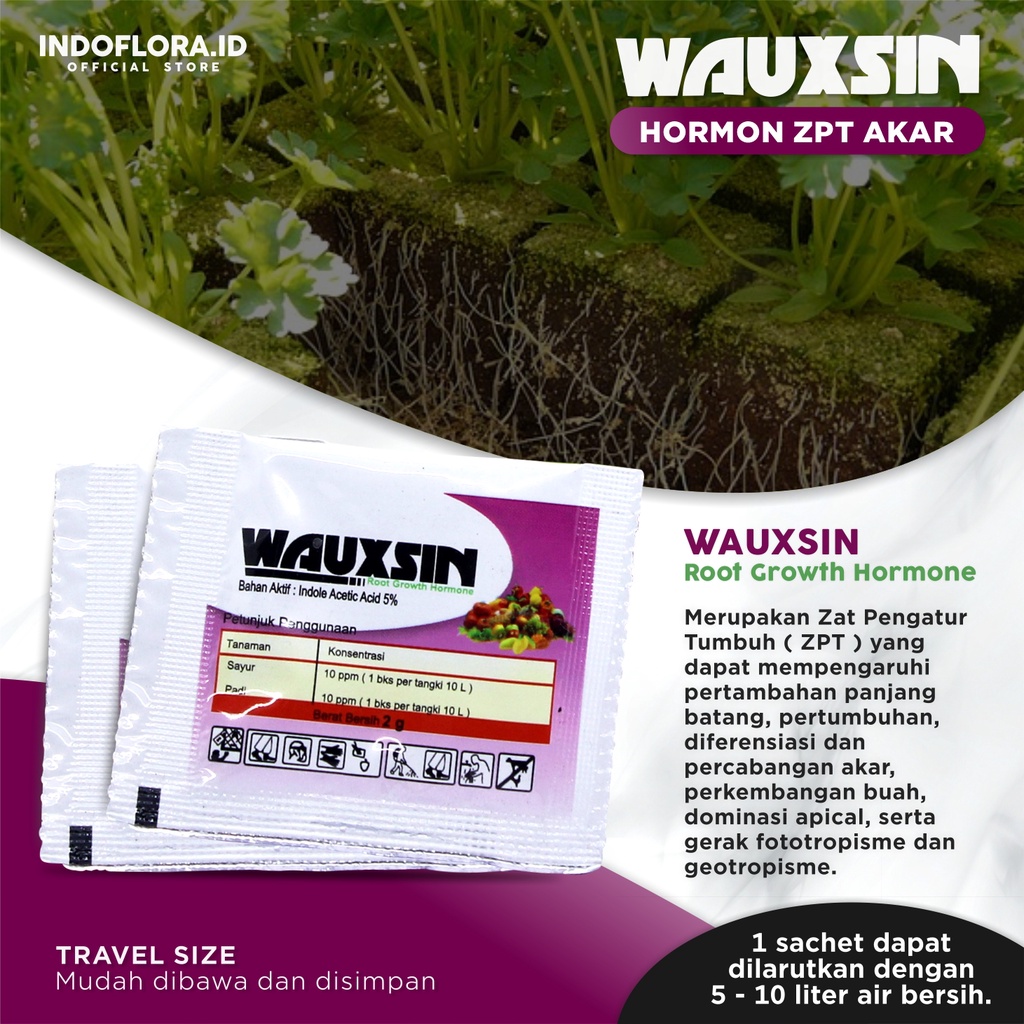 Jual Hormon ZPT Penumbuh Akar Tanaman Stek Wauxsin Root Growth Shopee