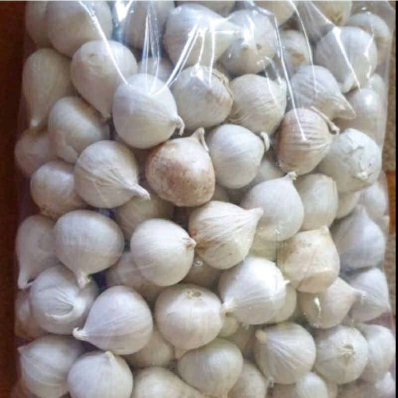 Jual Bawang Putih Tunggal Super Putih Kg Bawang Tunggal Super Free