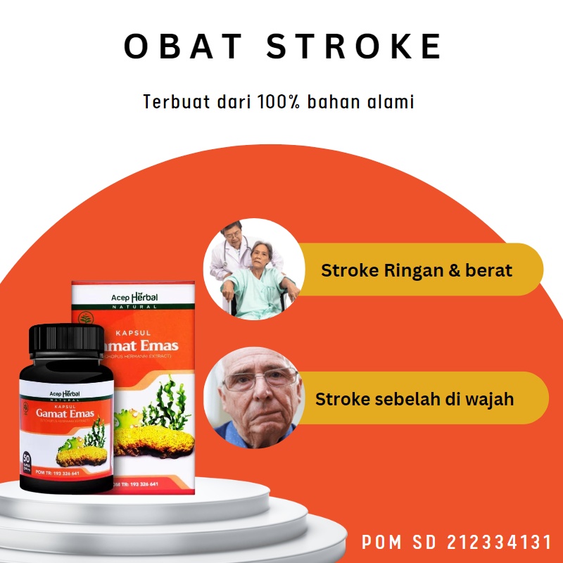 Jual Kaka Herbal Obat Stroke Obat Stroke Sebelah Kanan Struk Ringan