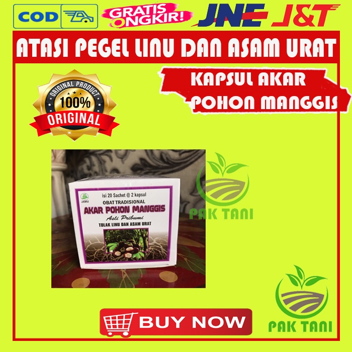 Jual Kapsul Akar Pohon Manggis Original Obat Tradisional Isi Sachet