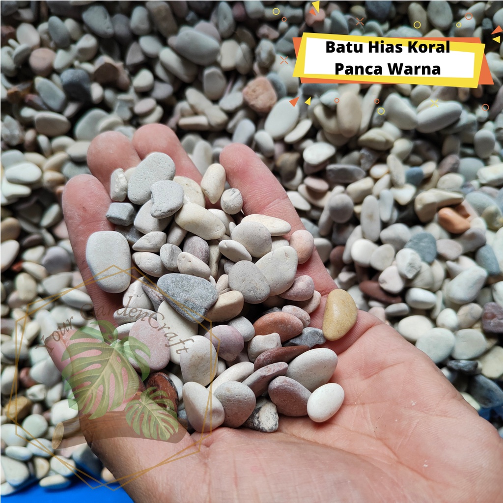 Jual Batu Hias Koral Kecil Panca Warna Batu Hias Taman Batu Hias