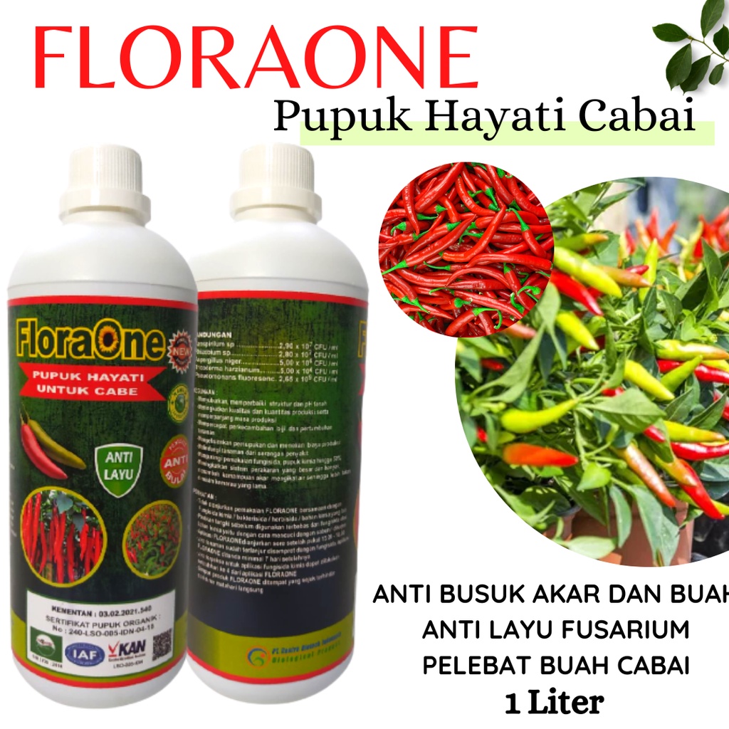 Jual Pupuk Cabai Merah Pupuk Hayati Tanaman Cabe Cegah Busuk Buah Dan