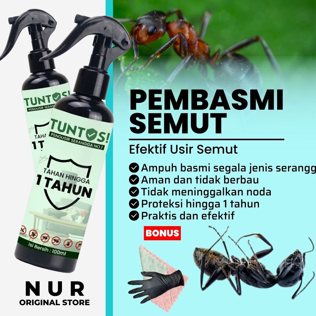 Jual Racun Pembunuh Semut Pembasmi Ampuh Pemusnah Serangga Pengusir