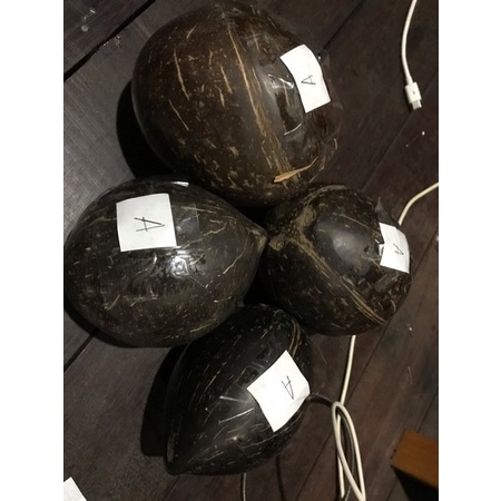 Jual Vk Kelapa Buta Kentos Kelapa Di Dalamnya Pcs Shopee Indonesia