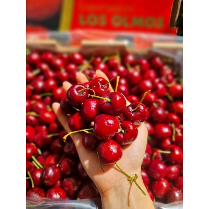 Jual Buah Ceri Segar Cherry Premium Import Gr Kg Shopee Indonesia