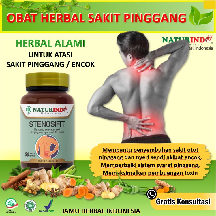 Jual Obat Herbal Sakit Pinggang Syaraf Saraf Kejepit Terjepit Obat