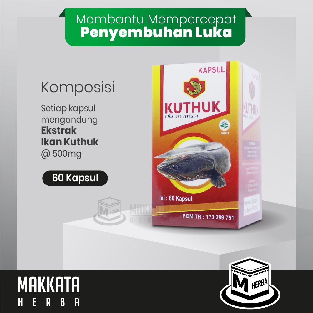 Jual Kapsul Kutuk Premium Kemasan 60 Kapsul Original Asli Obat